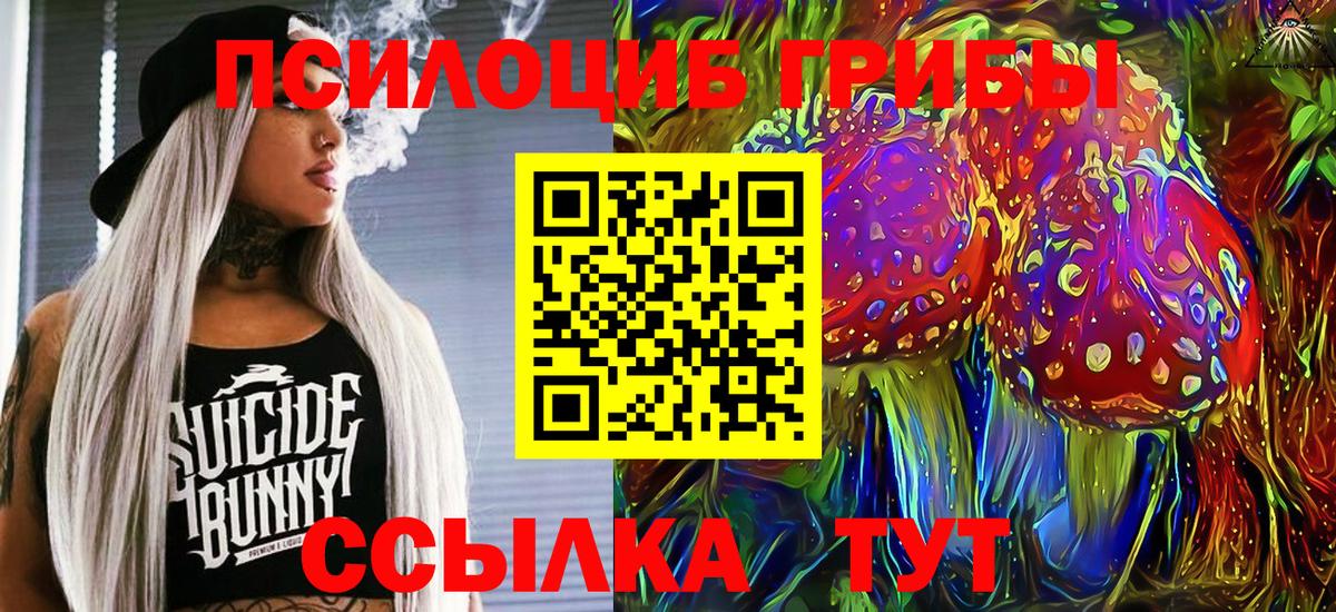 Зеленодольск  Псилоцибиновые грибы прущие грибы  Вход с VPN 